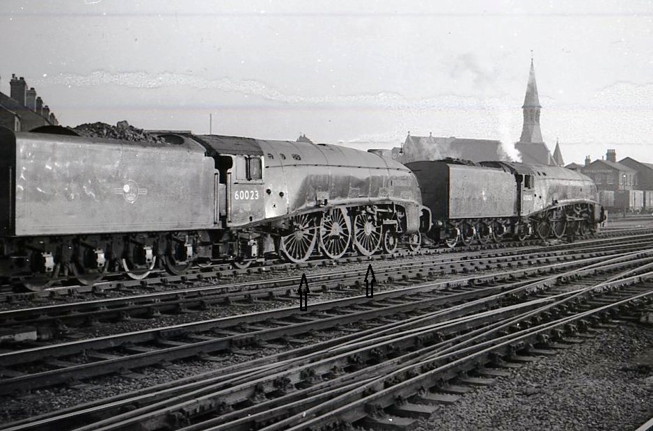 CAI166-Don1847-1936-(Class A4 No.60023) & Don1875-1938-(Class A4 No.60005) at Doncaster -03-11-61.jpg